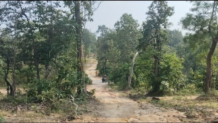 आज़ादी के 75 साल बाद भी सड़क से वंचित सोहर गइई पारा, विकास के दावे पर सवाल, हमर उत्थान सेवा समिति ने कलेक्टर को सौंपा ज्ञापन, वन विभाग से सड़क निर्माण की मांग