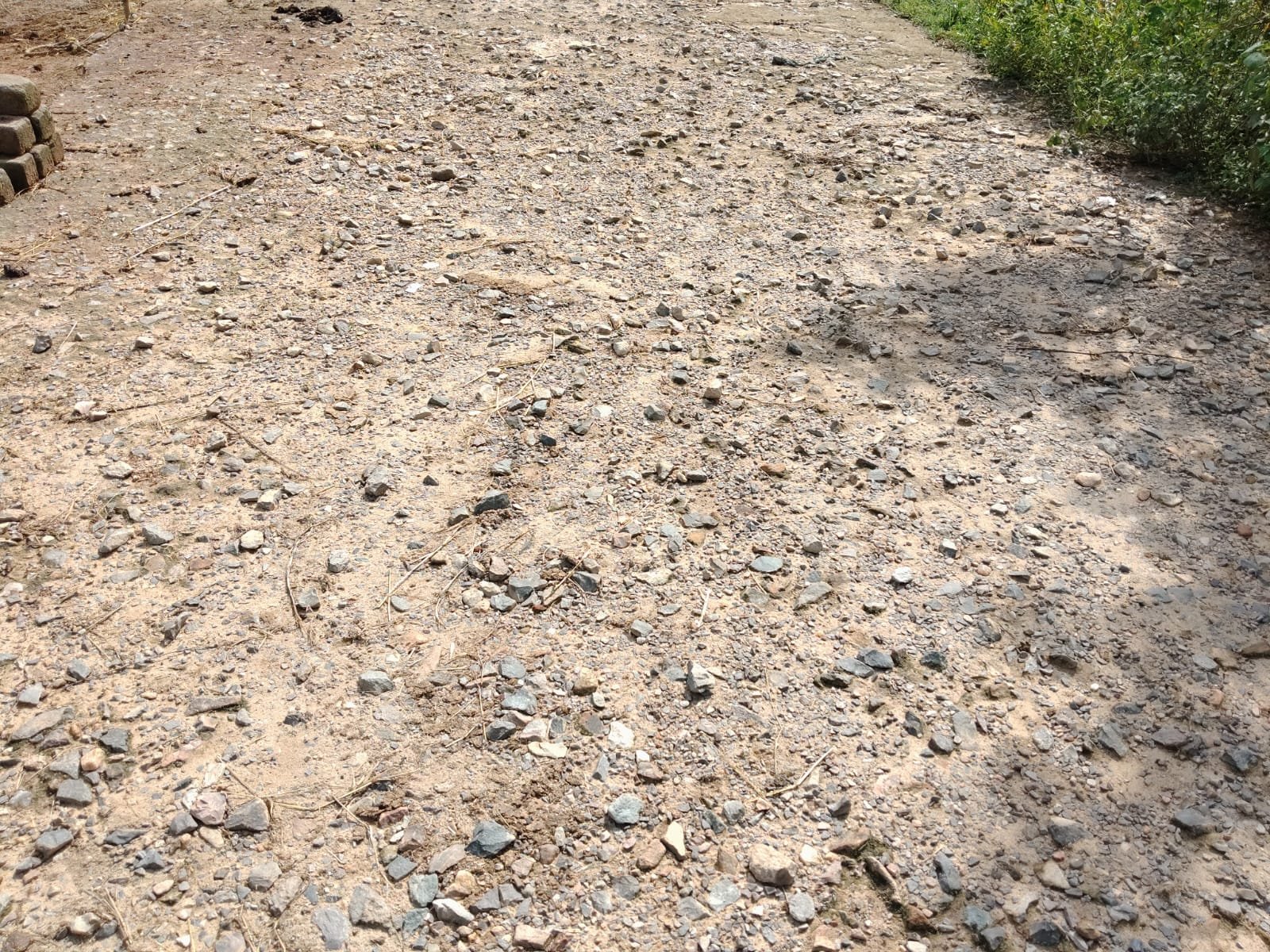 प्रेमनगर:- एक साल में ही जर्जर हो गई लाखों की सड़क, ग्रामीण बोले: &ldquo;इंजीनियर&ndash;सचिव के वेतन से बनवाओ नई सड़क&rdquo;